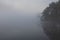 Bare trunk of a tree by the lake in the fog, dark dawn.