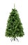 Bare undecorated green Christmas tree