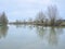 Bare willlow and poplar trees reflecting in the water of river Lys