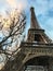 Bare winter branches frame the Eiffel Tower at sunset on a winter day