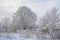 Bare winter trees and shrubs covered in snow in the flemish countryside