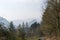 Bare, winter trees, winding valley road, distant blue mountains in a haze