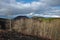 Bare Woods Old Craters In Etna Park, Sicily