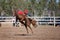 Bareback Bucking Bronc Riding At Country Rodeo