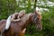 Bareback woman rider hugging her horse