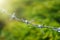 Bared wired with water drop on blurry green field background selective focus.Thailand.