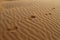 Barefeet footprints on the sand dune