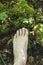 A barefoot aerial view on mossy surface in the forest