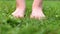 barefoot child girl walking on a green grass outdoor closeup