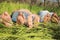 Barefoot family lying on grass in park