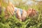 Barefoot family lying on grass in park