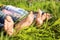 Barefoot family lying on grass in park