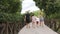 A barefoot family running across a bridge among orange trees and palm trees in a park or botanical garden. Family