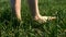 Barefoot female feet tread on green grass, that sways in wind, in field or in meadow. Close-up.