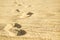 Barefoot footprints on the beach. Rootprints in the sand. Beach walk