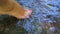 Barefoot girl with pink pedicure splashing and kicking her legs in the water in a river with a fast flow