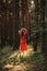 Barefoot happy young woman in red dress with hand raised dancing in pine forest at summer day.