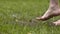 Barefoot man jumps in water in grass