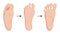 Barefoot shoes care steps vector illustration.