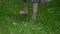 barefoot woman is walking on meadow at summer, closeup view of feet stepping over green grass and flowers