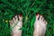 Barefoot women& x27;s feet with red nails stand on green grass