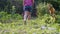 Barefooted child girl is walking on the backyard across the grass.