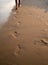 Barefooted female legs, walking along the strip of the sea on the sunset