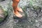 Barefooted girl legs in the water. A girl stands with her feet o