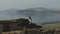 A barefooted young lady is walking along a rocky cape. She easily jumps from stone to stone. A woman walks backdrop sea