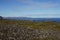The Barents Sea and Tundra in the Summer Arctic at Gamvik, Nordkinn peninsula, Finnmark County, Norway