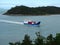 A barge entering Shute Harbour on completion of its journey from Hamilton Is