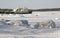 Barge moored on the Bay in winter