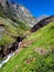 Baring Creek cascades out of the mountains in Glacier National Park