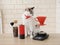 Barista cat. Alternative manual hand brewing coffee. Drip batch filter. Red coffee grinder. Electronic scale
