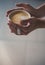 Barista propose americano or espresso cup. relax in cafe or coffee shop and drinking. fresh morning coffee with milk and