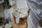 Barite mineral rock stone in hand. a mineral consisting of barium sulfate