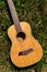 Baritone Ukulele Guitar Grass