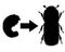 Bark-beetle development