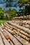 Bark beetle infested wood without bark on the meadow in the Czech Republic. Cutting of the trees, bark beetle calamity