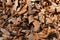 Bark Chippings