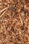 Bark, leaves and wood chippings background