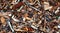 Bark leaves and wood chippings mulch