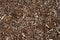 Bark mulch texture