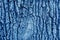 Bark of old big oak tree texture in navy blue tone