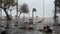 Bark of palm trees and garbage scattered along the promenade during a tornado.