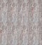 Bark seamless texture.