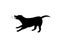 Barking dog silhouette in black color vector