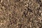 Barking mulch nature garden background