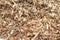 Barking Wood Chip Mulch. Full Background View