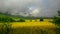 Barley field and evaporation in the mountain